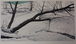 Image description is not available for DU1981.22